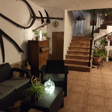 Can Leon Poblenou del Delta Dış mekan fotoğraf